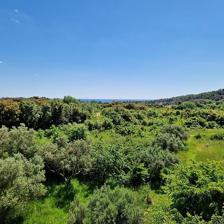 Villa Mareonda Rovinj Eksteriør bilde