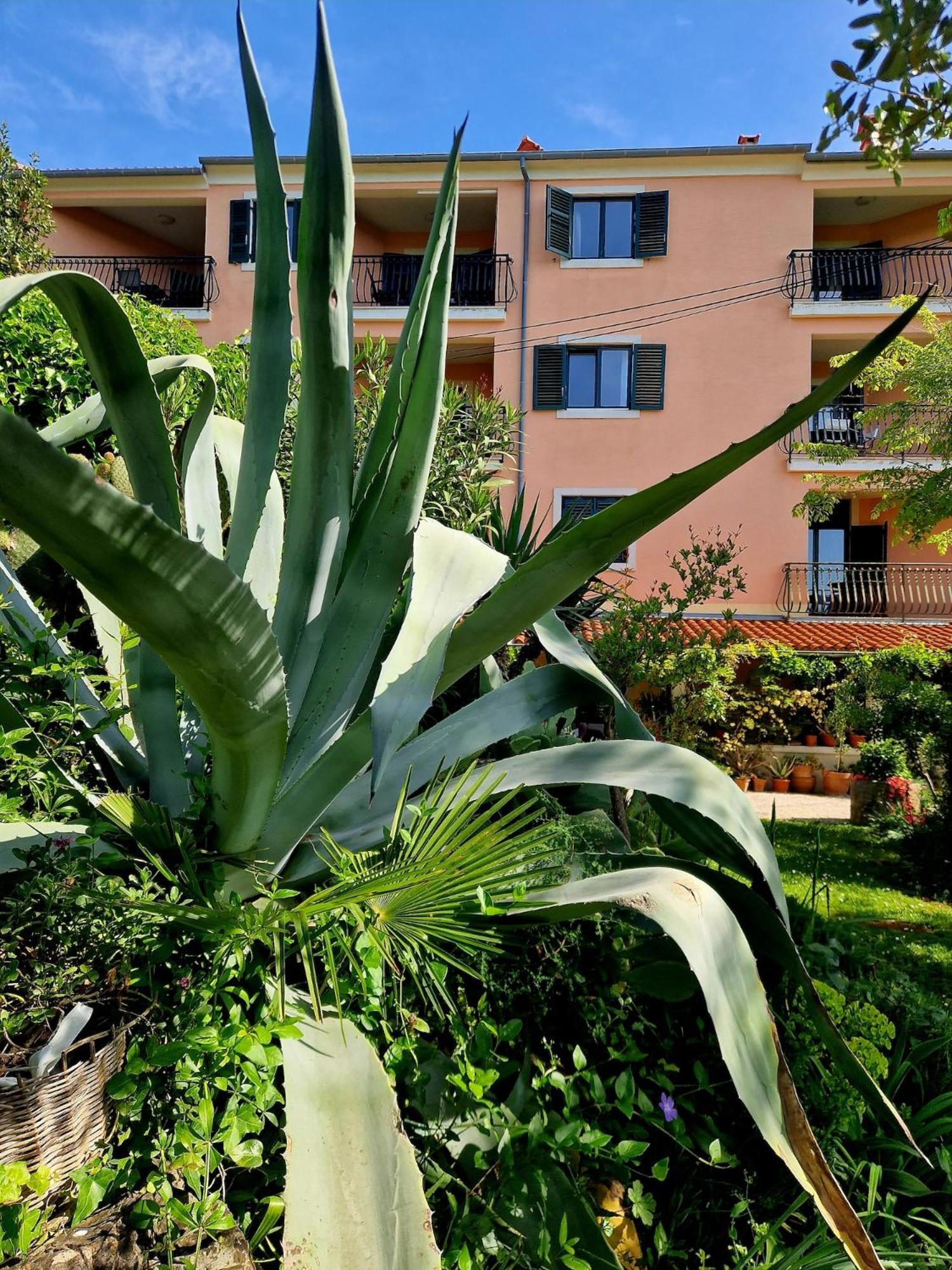 Villa Mareonda Rovinj Eksteriør bilde
