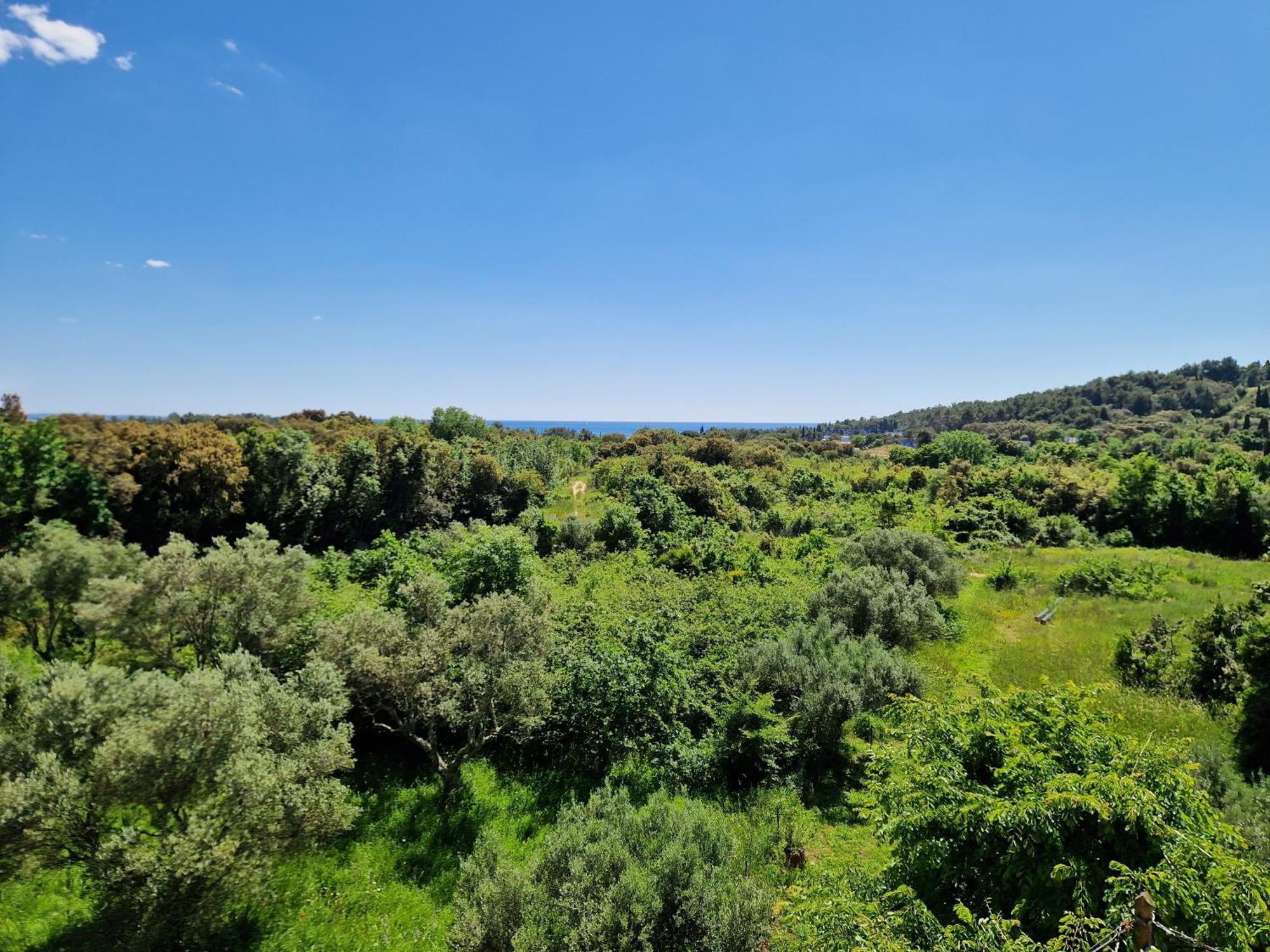 Villa Mareonda Rovinj Eksteriør bilde